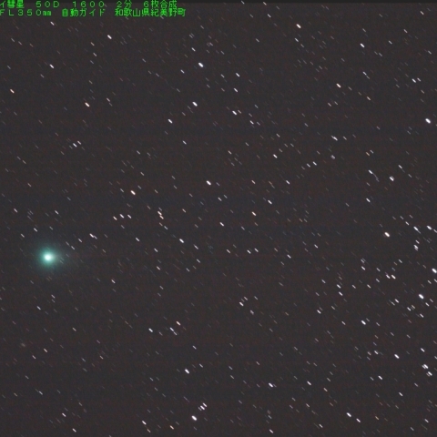 １１／８早朝　ラヴジョイ彗星