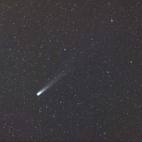 12/30のラブジョイ彗星