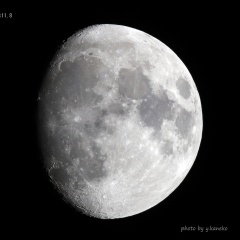 月齢 11.8
