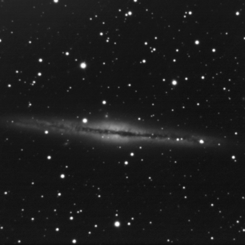 NGC891