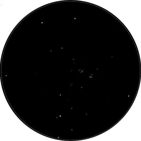 ステファンの五つ子