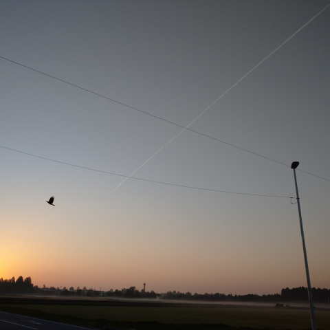 太陽のジェット