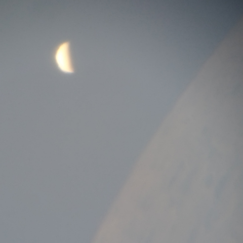 金星食
