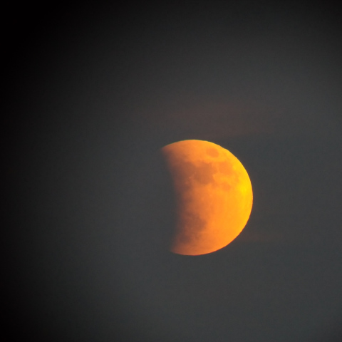かじったホットケーキ
