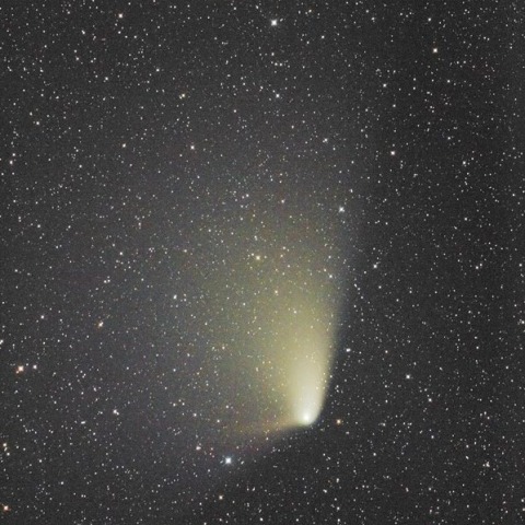 c/2011l4　パンスターズ