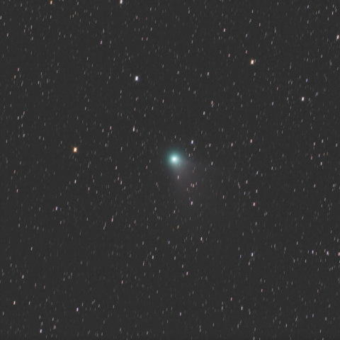 6/4のレモン彗星