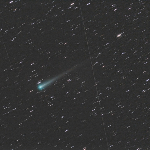 11/6のアイソン彗星