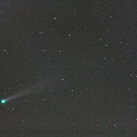 11/16のアイソン彗星