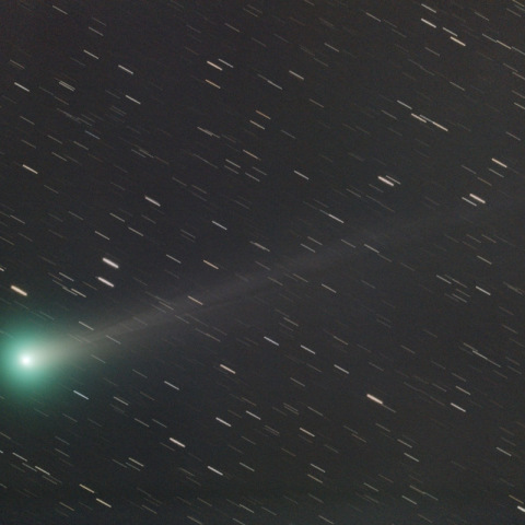 11/16のラブジョイ彗星