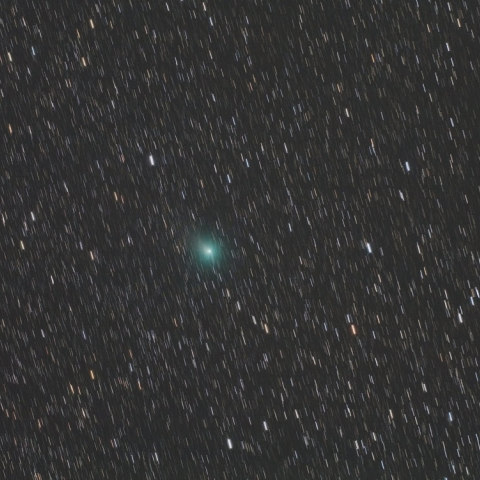 C/2009K5・マクノート