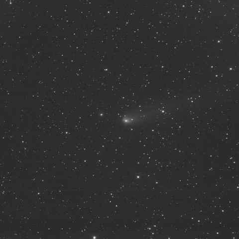 81P・ヴィルト第2彗星