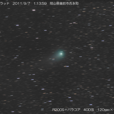 2009P1/ギャラッド彗星