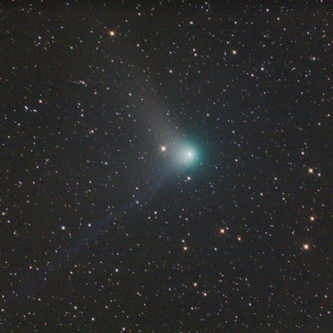 3/26のギャラッド彗星②