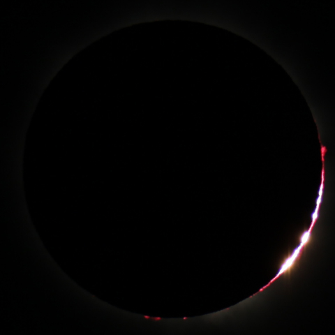 ベイリービーズ