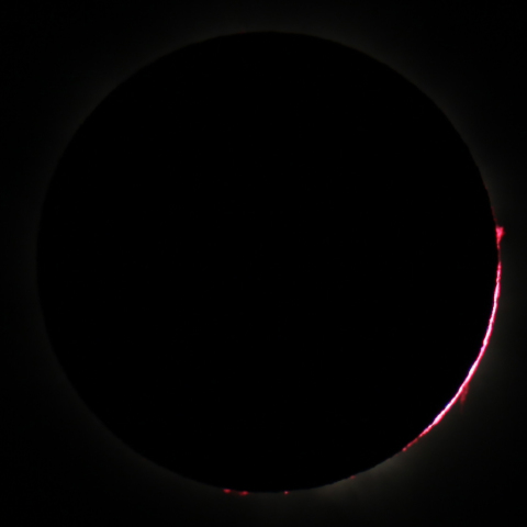 彩層とプロネミンス