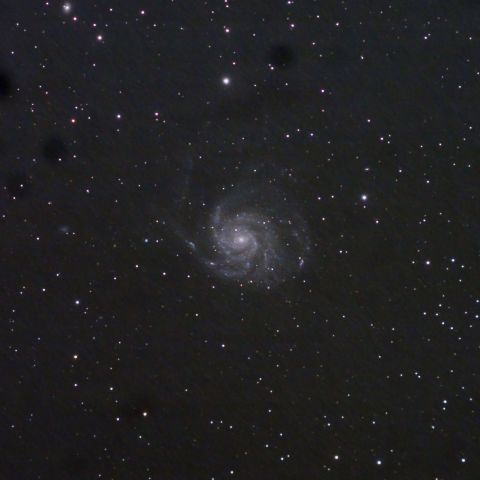 M101 昔のデジカメで