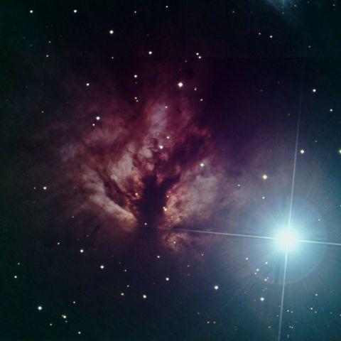 オリオン座　NGC2024