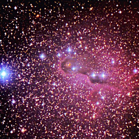 vdB142 象の鼻（その３）