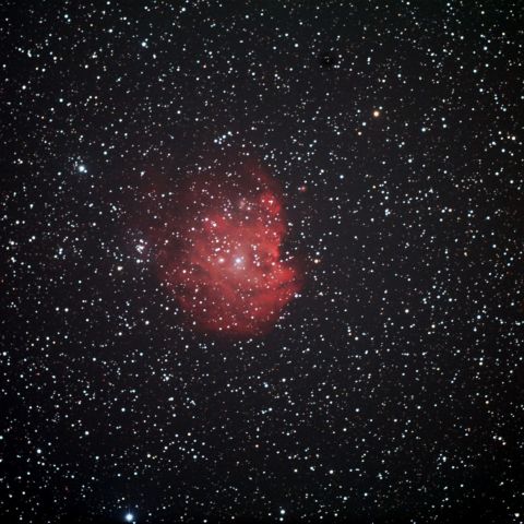 NGC2175 モンキー星雲