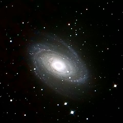 M81
