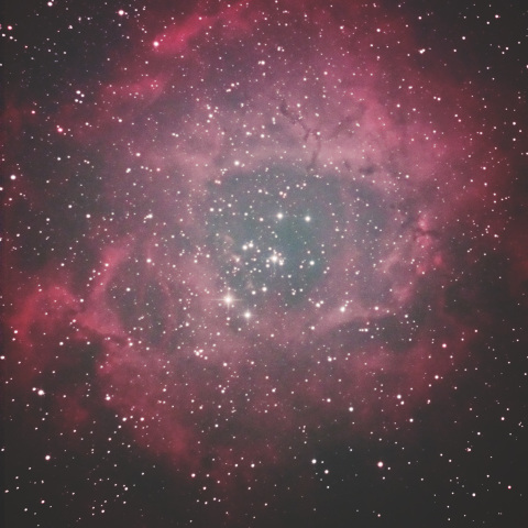 雨上がりのばら星雲