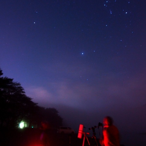 星見会 しし座流星群