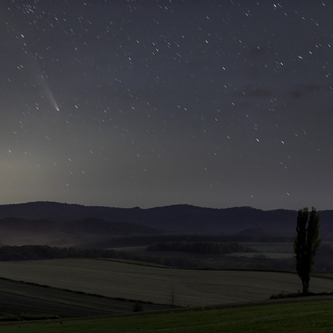2024/10/26の紫金山・アトラス彗星