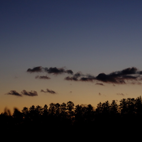 宵の明星（2024/10/31）