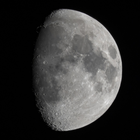 月齢9.8（2024/11/11）