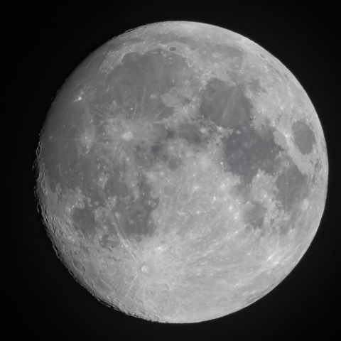 月齢12.9（2024/11/14）