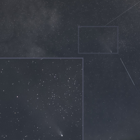 2024/11/14の紫金山・アトラス彗星