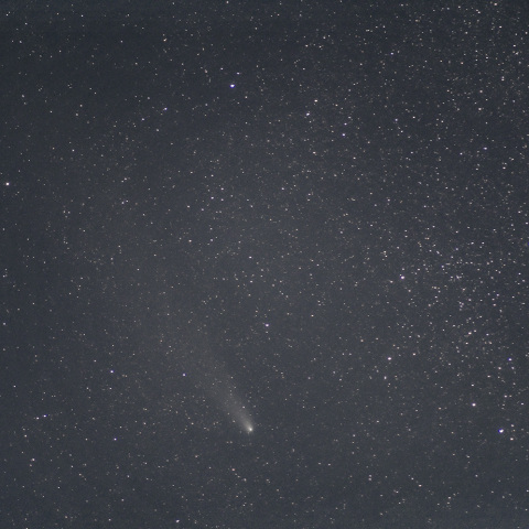 2024/11/14の紫金山・アトラス彗星