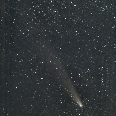 2024/11/9の紫金山・アトラス彗星