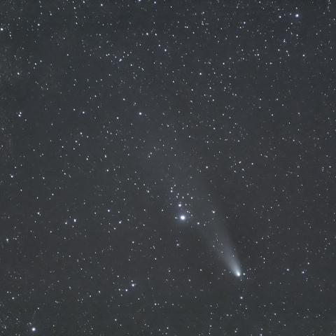 2024/11/21の紫金山・アトラス彗星
