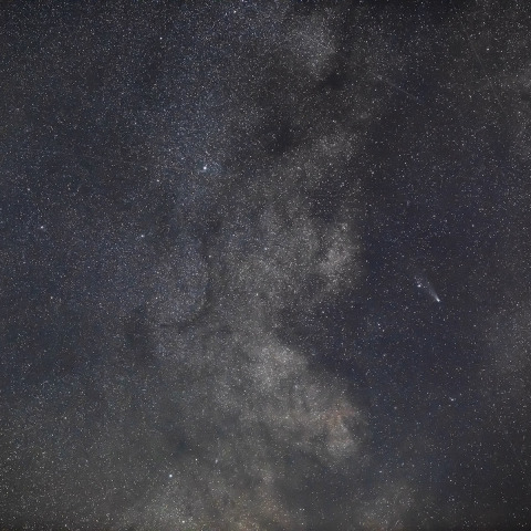 2024/11/21の紫金山・アトラス彗星