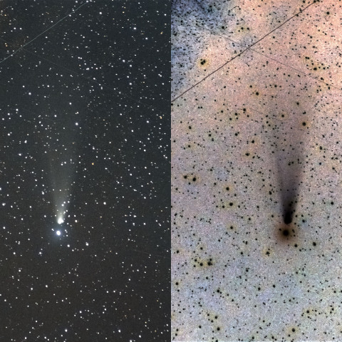 2024/11/23の紫金山・アトラス彗星