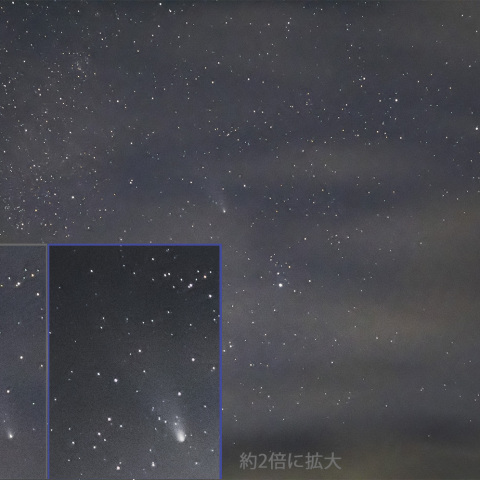 2024/11/25の紫金山・アトラス彗星