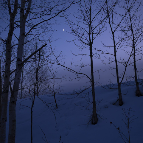 黄昏の月（月齢5.0）