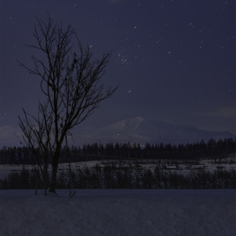 火星とプレセペ星団（M44）