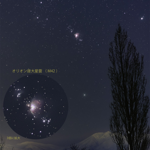昇ってきた「オリオン座大星雲」