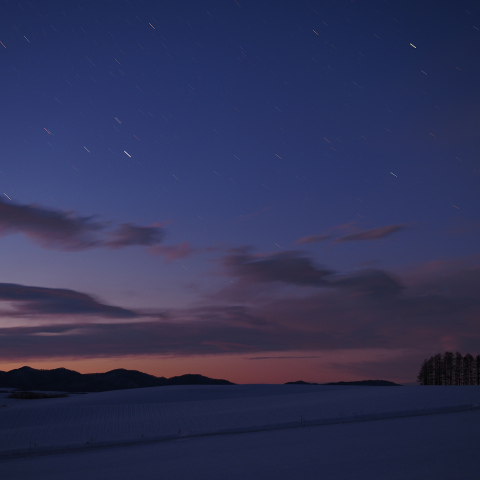 マジックアワーの「こと座」