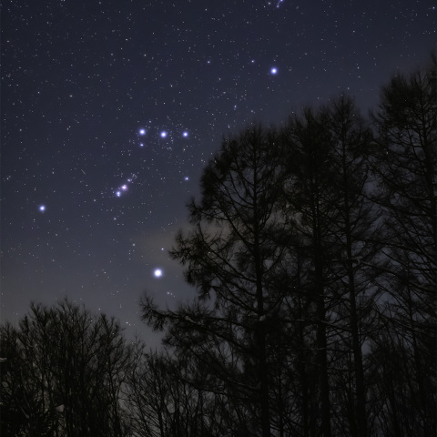 2月初旬、深夜のオリオン