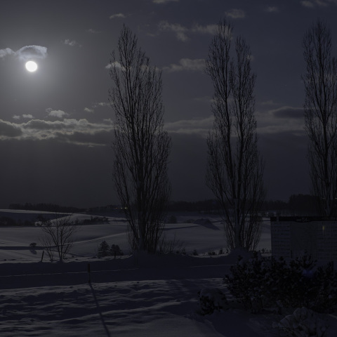 月光に照らされる丘風景