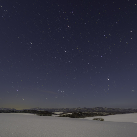 冬の星座が沈む風景~2月中旬・月夜の深夜(#119281の再投稿)