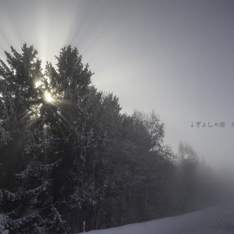 濃霧による月の光芒