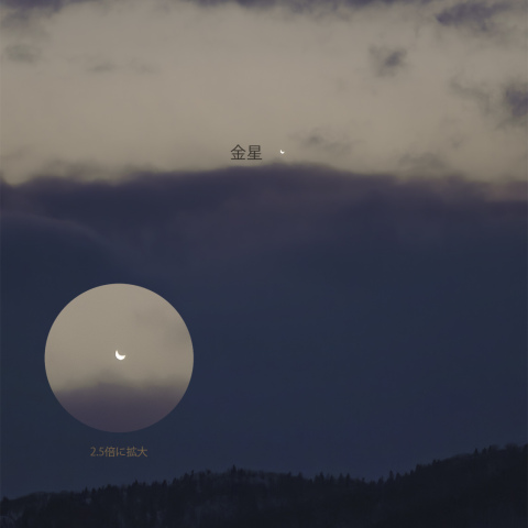 宵の明星・金星(2025/03/18)