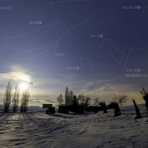 樹影と春の星座~新栄の丘駐車場.2