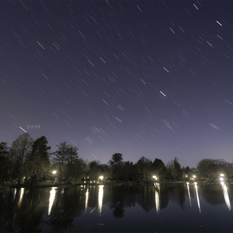 冬の星座が沈む風景~千鳥ヶ池・4月中旬