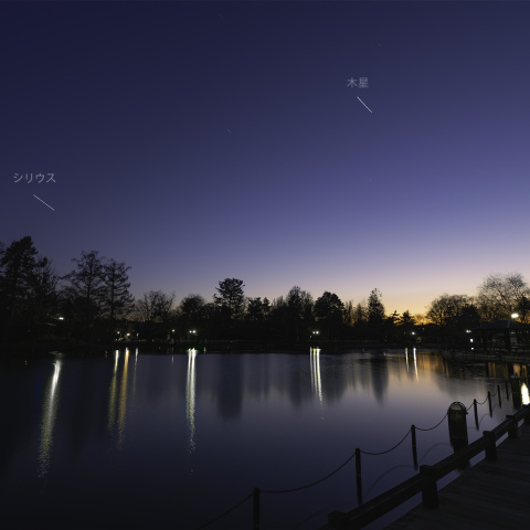 薄明の木星・シリウス