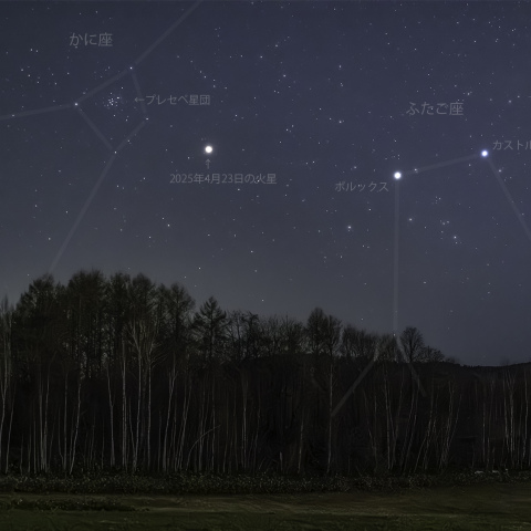 プレセペ星団に向かう火星(2025/04/23)